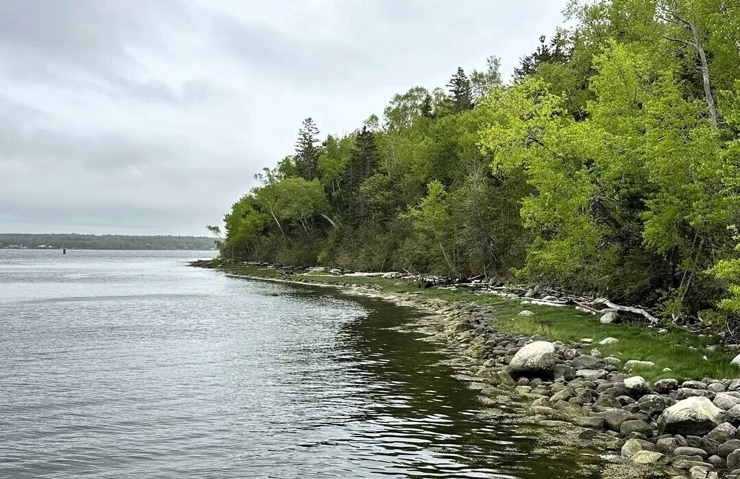 1041-1046 Cape Jellison Road Stockton Springs, ME 04981 - Photo 68 of 72 Fort Point State Park