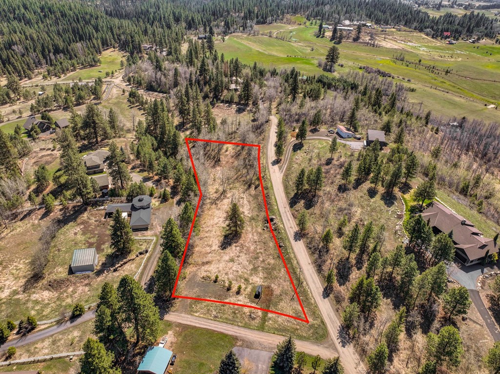 Tbd Morell Road McCall, ID 83638 - Photo 16 of 22