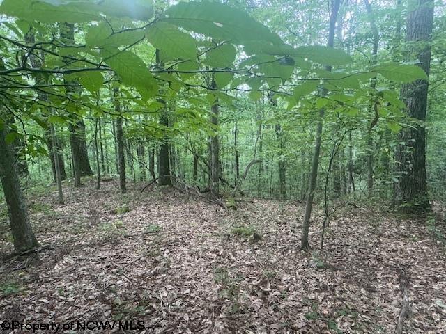 Tbd Simpson Road Belington, WV 26250 - Photo 15 of 30 Gallery Image 15