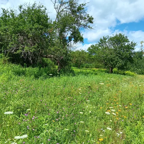 $350,000 | 1165 West Alna Road, Alna, ME 04535