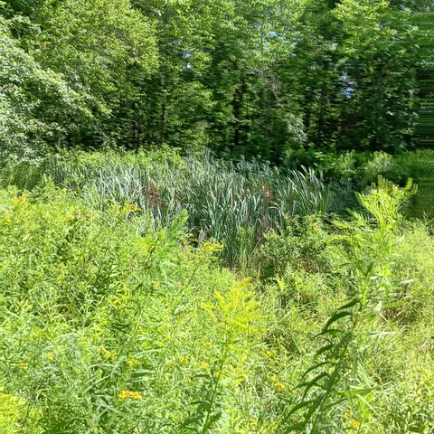 $350,000 | 1165 West Alna Road, Alna, ME 04535