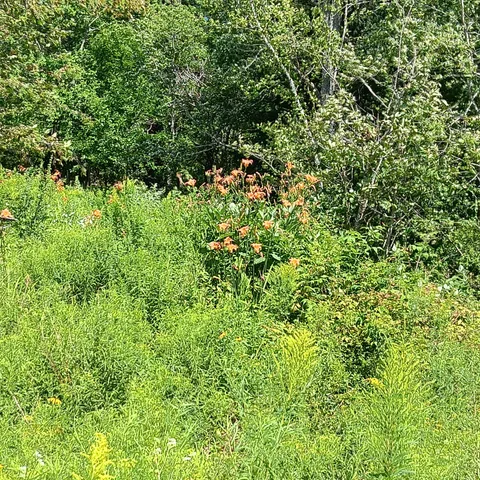 $350,000 | 1165 West Alna Road, Alna, ME 04535