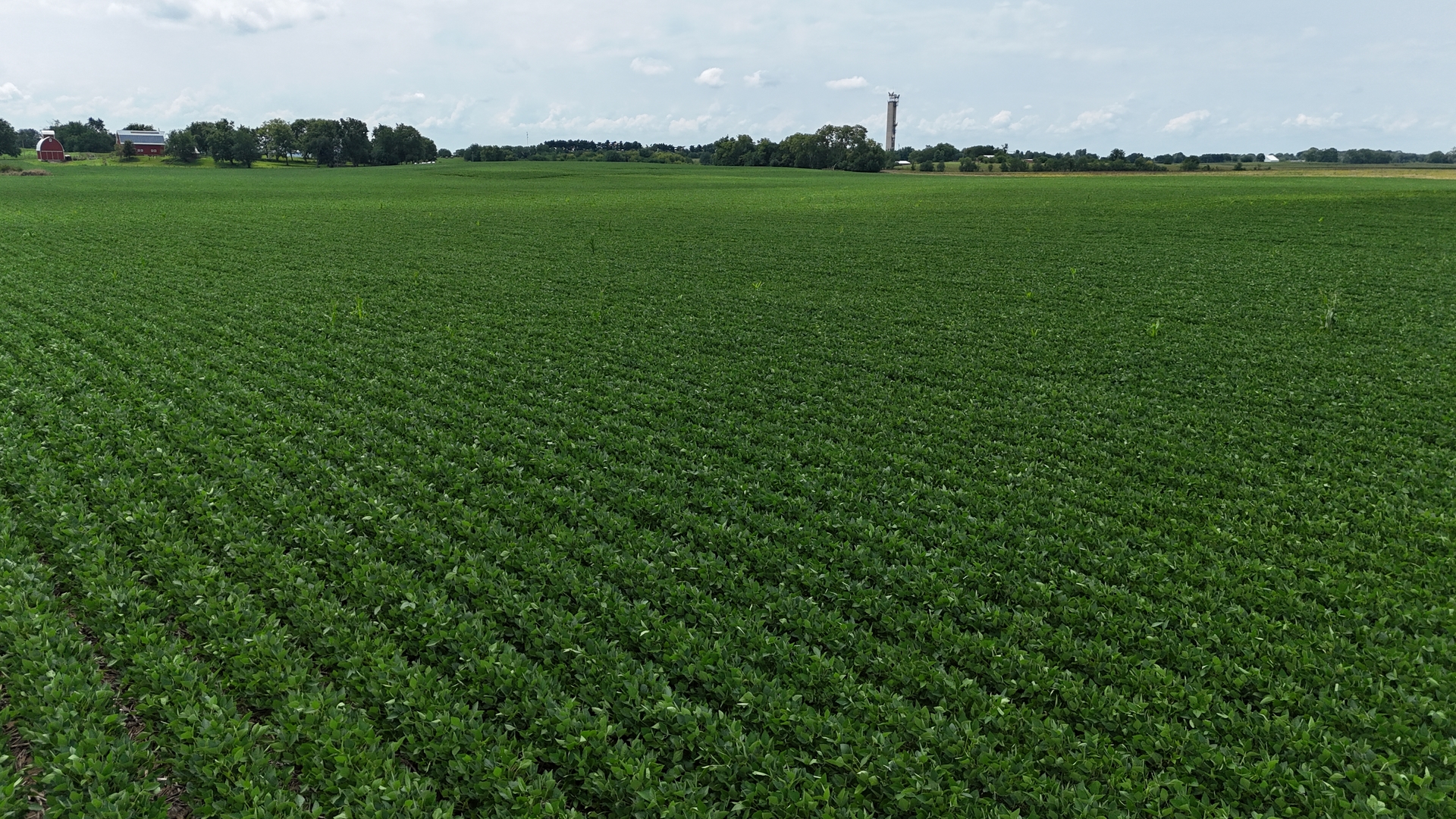 0 Jersey Road Tampico, IL 61283 - Photo 3 of 16 a view of a green field with lawn chairs and large trees
