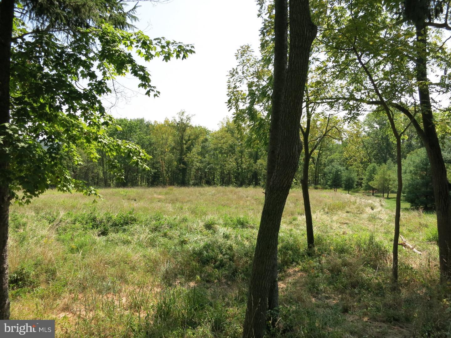 Lot 4 Ridgeview Drive Doylestown, PA 18902 - Photo 1 of 5