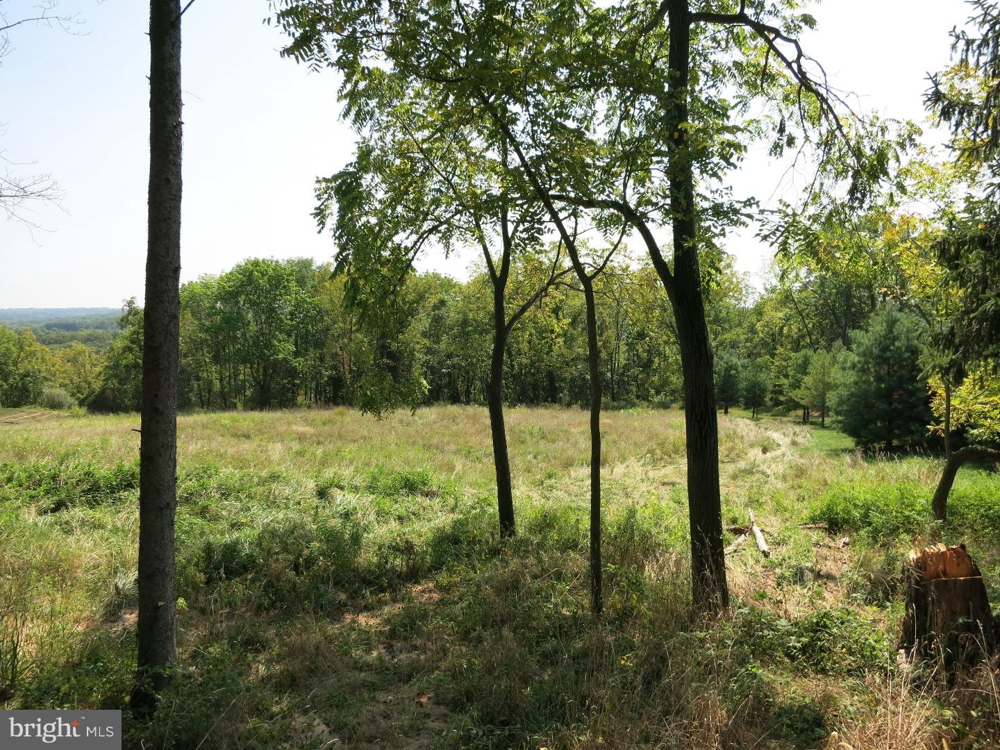 Lot 4 Ridgeview Drive Doylestown, PA 18902 - Photo 2 of 5