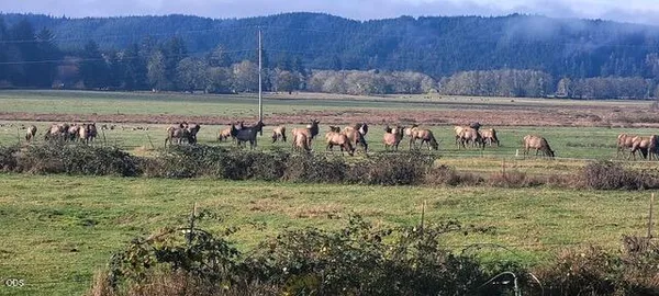 $300,000 | 16333 Siletz Highway, Siletz, OR 97380