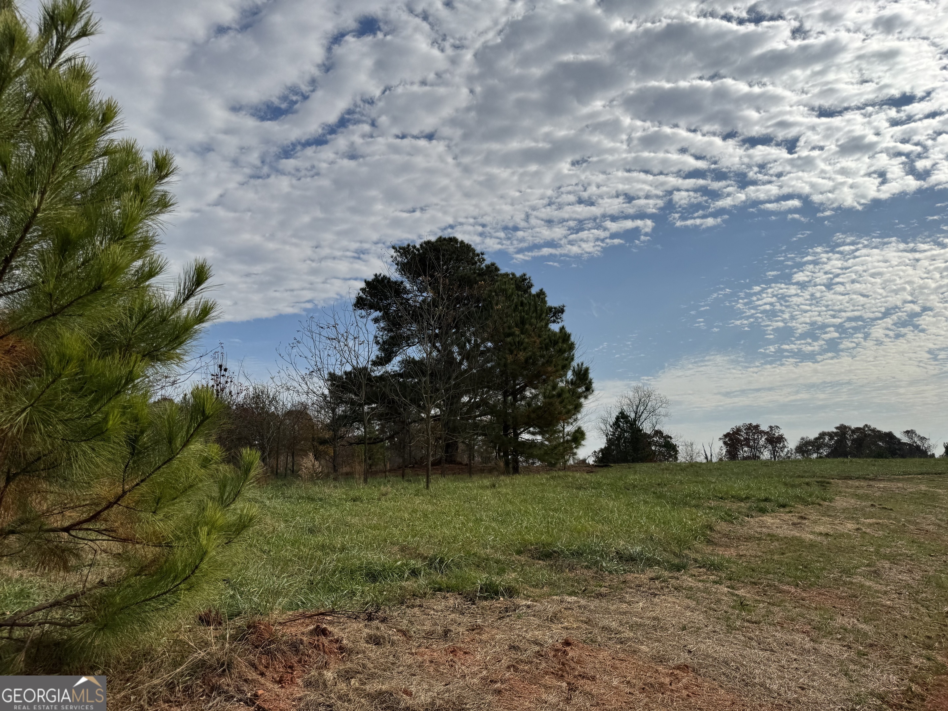 3439-tract 3 Providence Church Road Hartwell, GA 30643 - Photo 3 of 22
