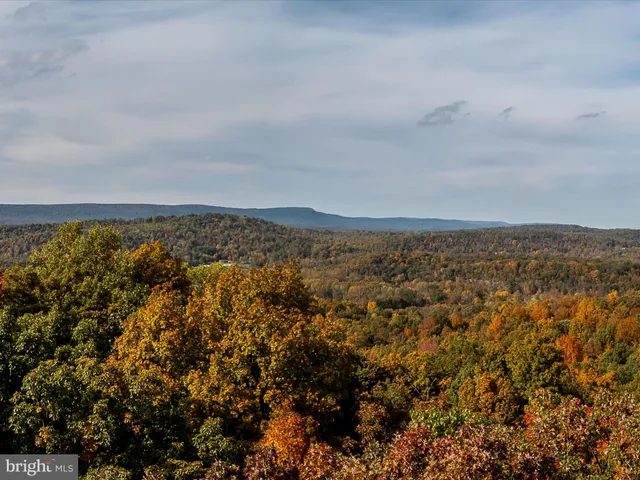 a view of city and mountain