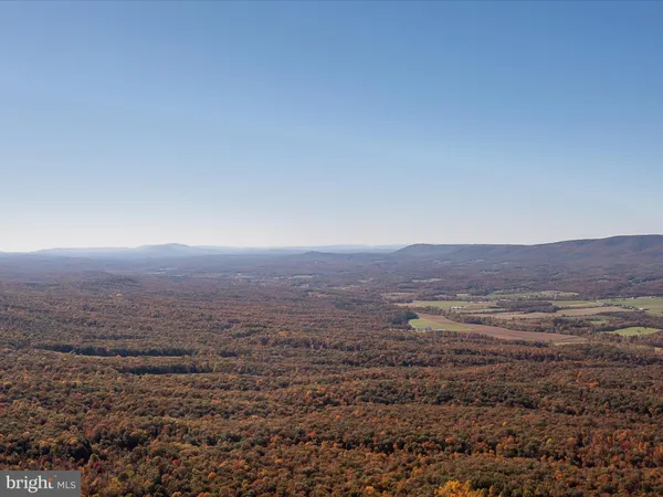 an aerial view of houses covered in trees