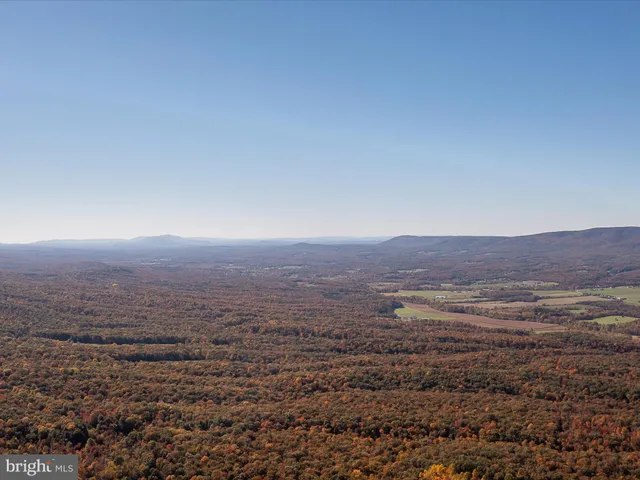 an aerial view of houses covered in trees