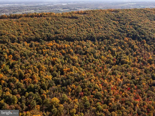 an aerial view of houses covered in trees