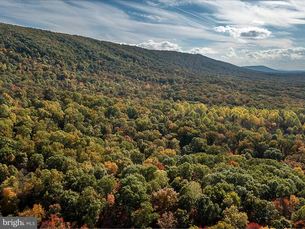 a view of beach and ocean