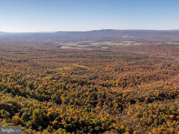a view of outdoor space with lots of trees
