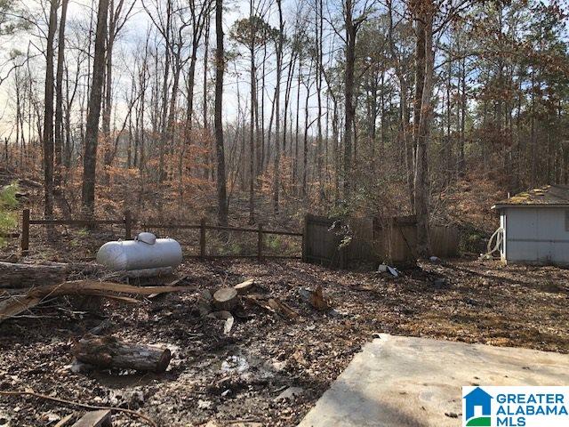 1919 Mt Gilead Road, Unit 9 21 Jacksonville, AL 36265 - Photo 10 of 39