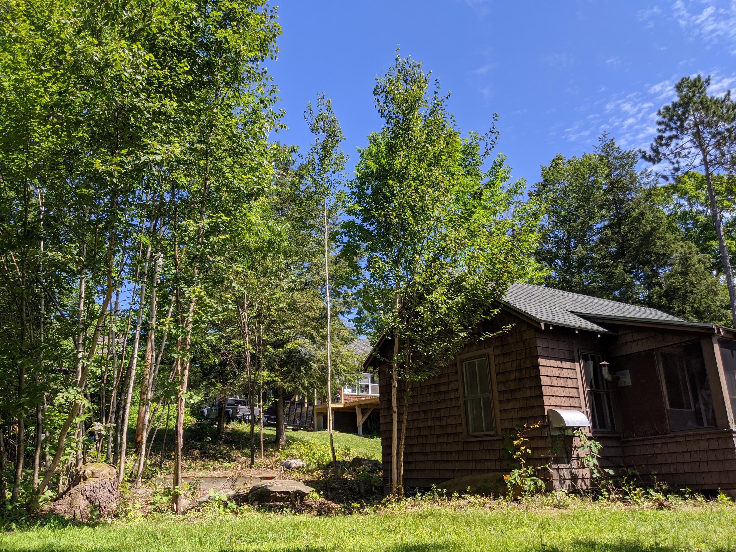 54 Peterson Road Dover-Foxcroft, ME 04426 - Photo 42 of 75 Angelene davis 9