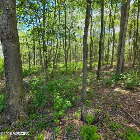 $45,000 | 006 Pioneer Trail, Unit LOT 1, Muncy Valley, PA 17758