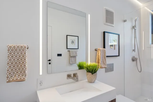 a bathroom with a sink a mirror and a potted plant