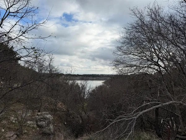 a view of a yard next to a lake