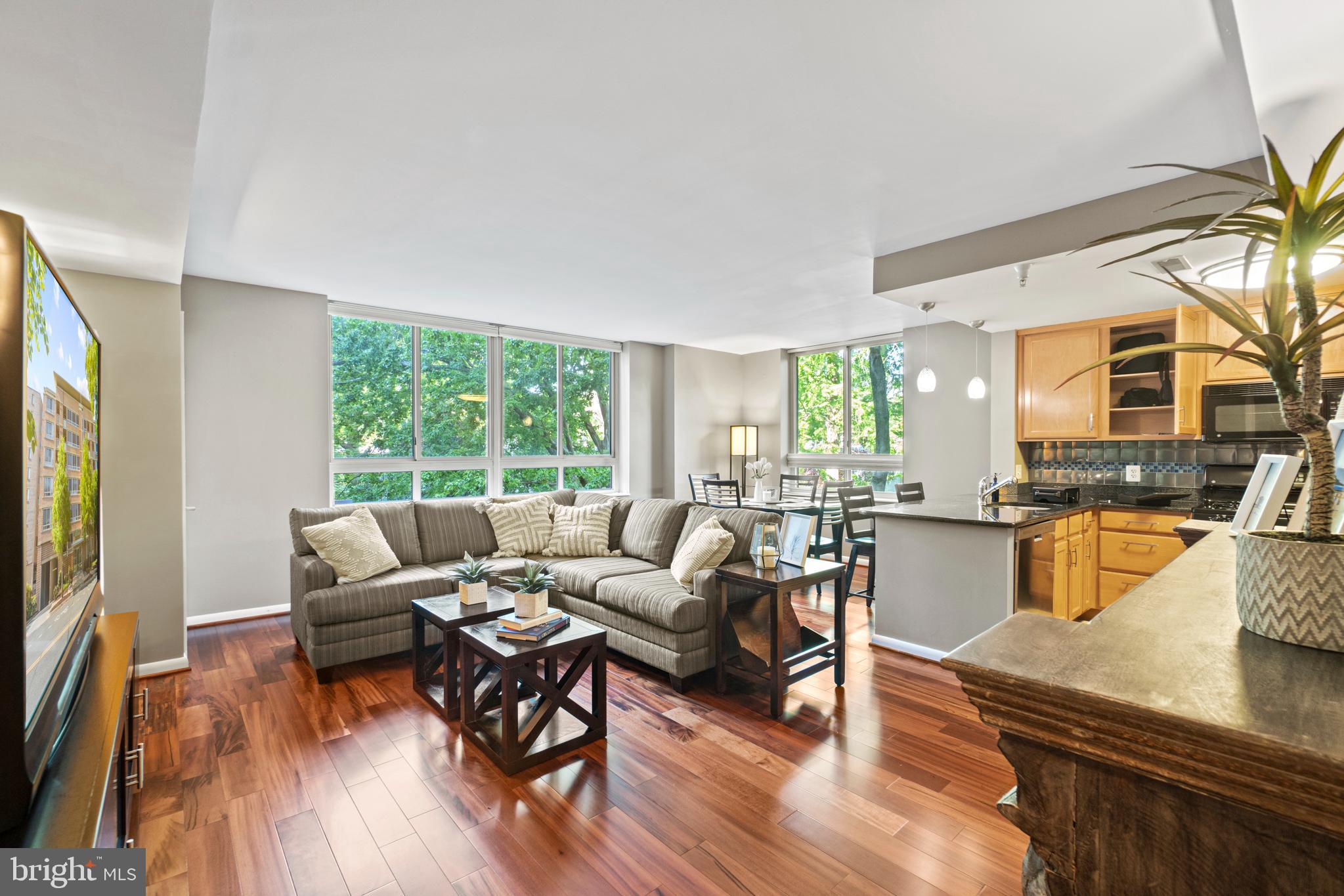 355 I Street Southwest, Unit 201 Washington, DC 20024 - Photo 3 of 35