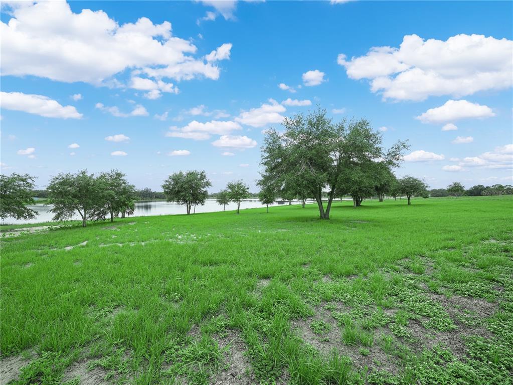539 Eucalyptus Road Lake Wales, FL 33898 - Photo 17 of 19 a view of green field