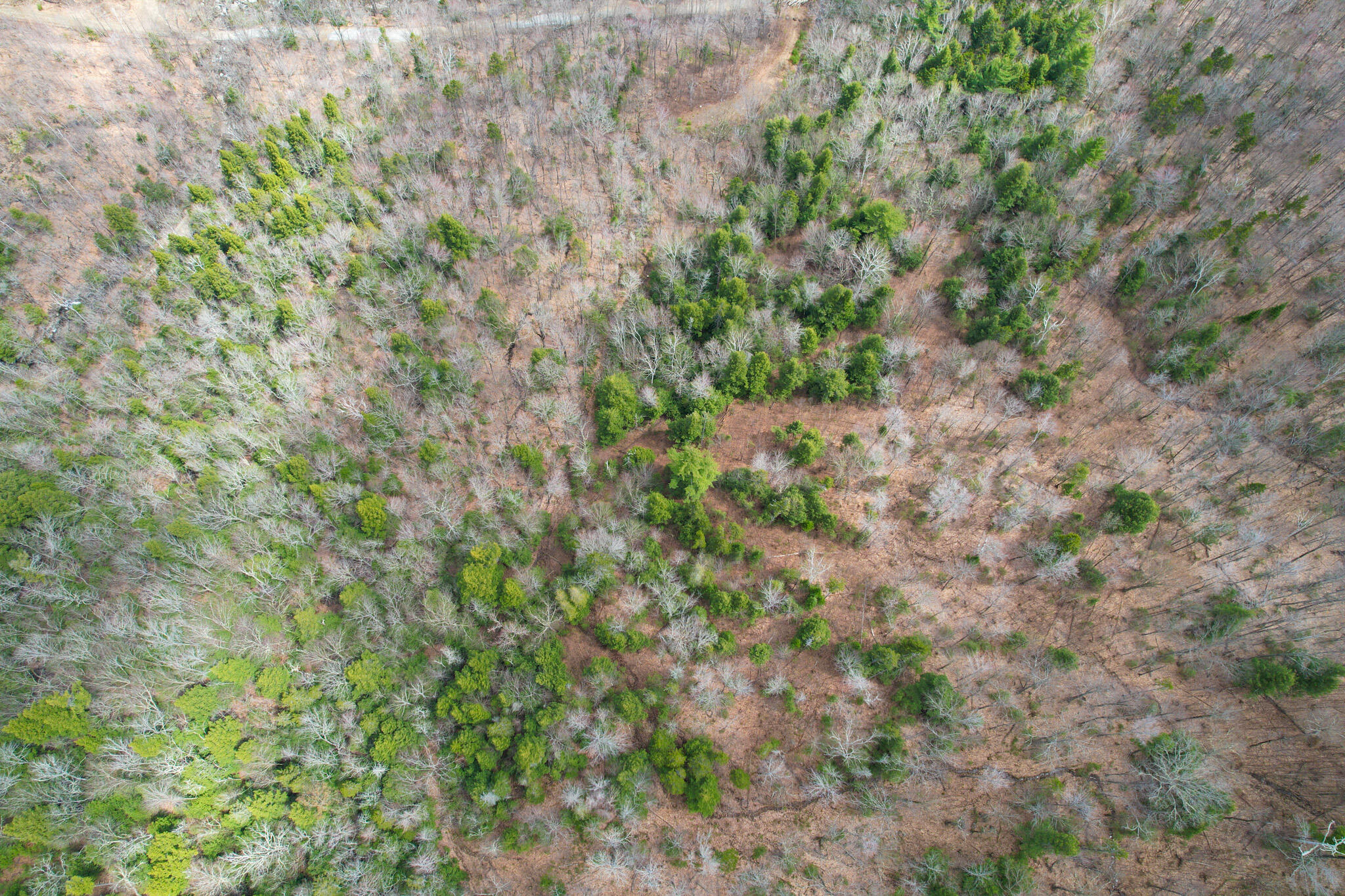 Mr02-l019 Holman Pond Road Temple, ME 04984 - Photo 31 of 40 Holman Lot 19