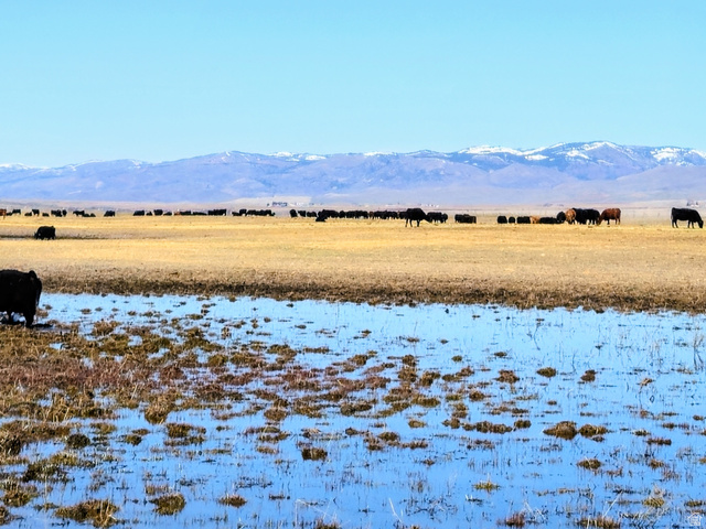 950 Bern Road Bern, ID 83220 - Photo 3 of 27 View of mountain background with rural landscape and a pastoral area