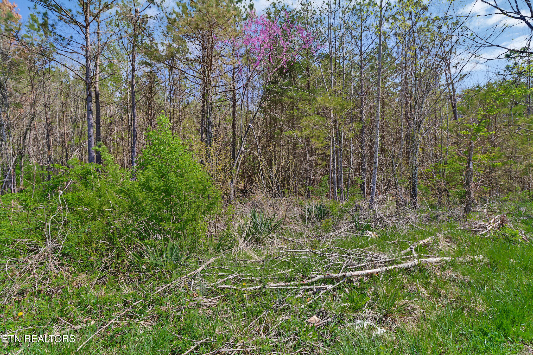 Fred Tollett Road Crossville, TN 38572 - Photo 11 of 12 if1a8752-if1a8756