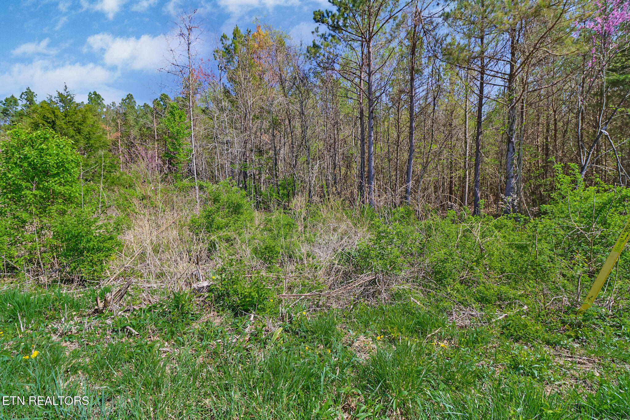 Fred Tollett Road Crossville, TN 38572 - Photo 12 of 12 if1a8757-if1a8761