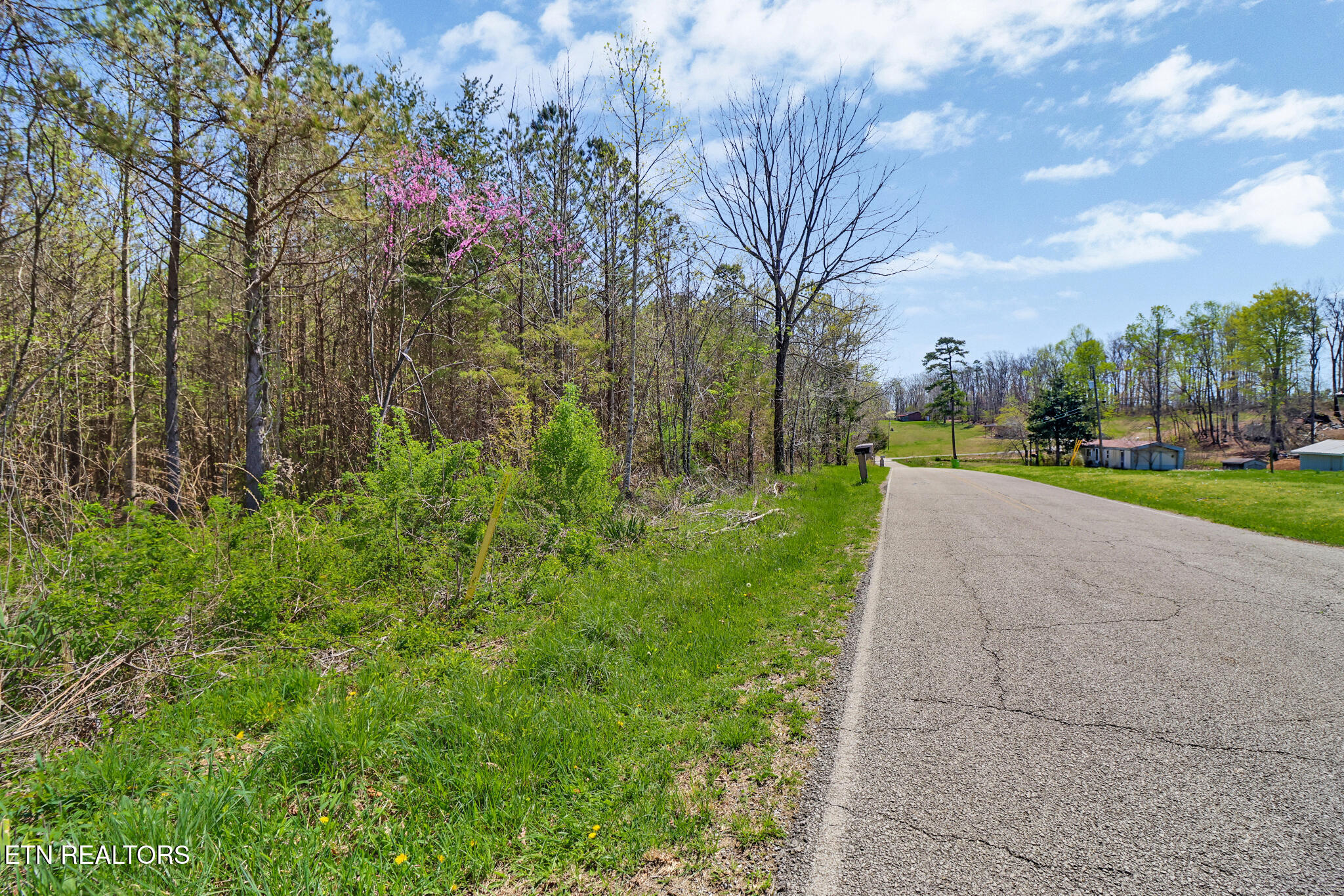 Fred Tollett Road Crossville, TN 38572 - Photo 10 of 12 if1a8747-if1a8751