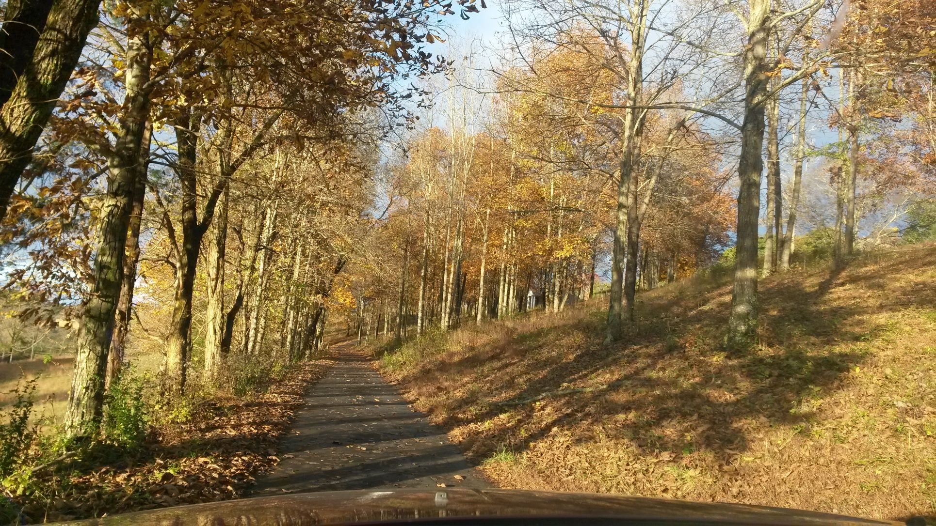 73 Savannah Road Ardmore, TN 38449 - Photo 46 of 51