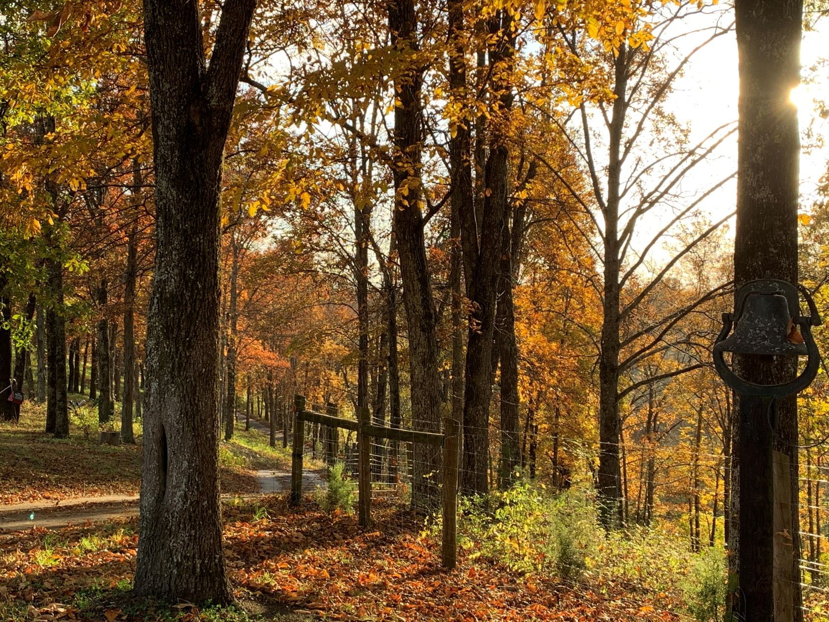 73 Savannah Road Ardmore, TN 38449 - Photo 47 of 51