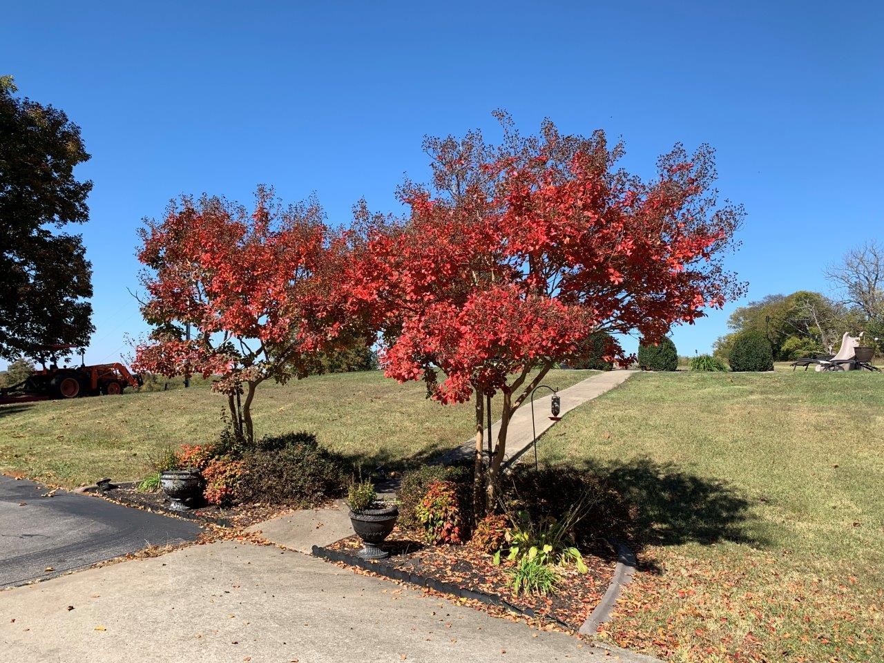 73 Savannah Road Ardmore, TN 38449 - Photo 48 of 51