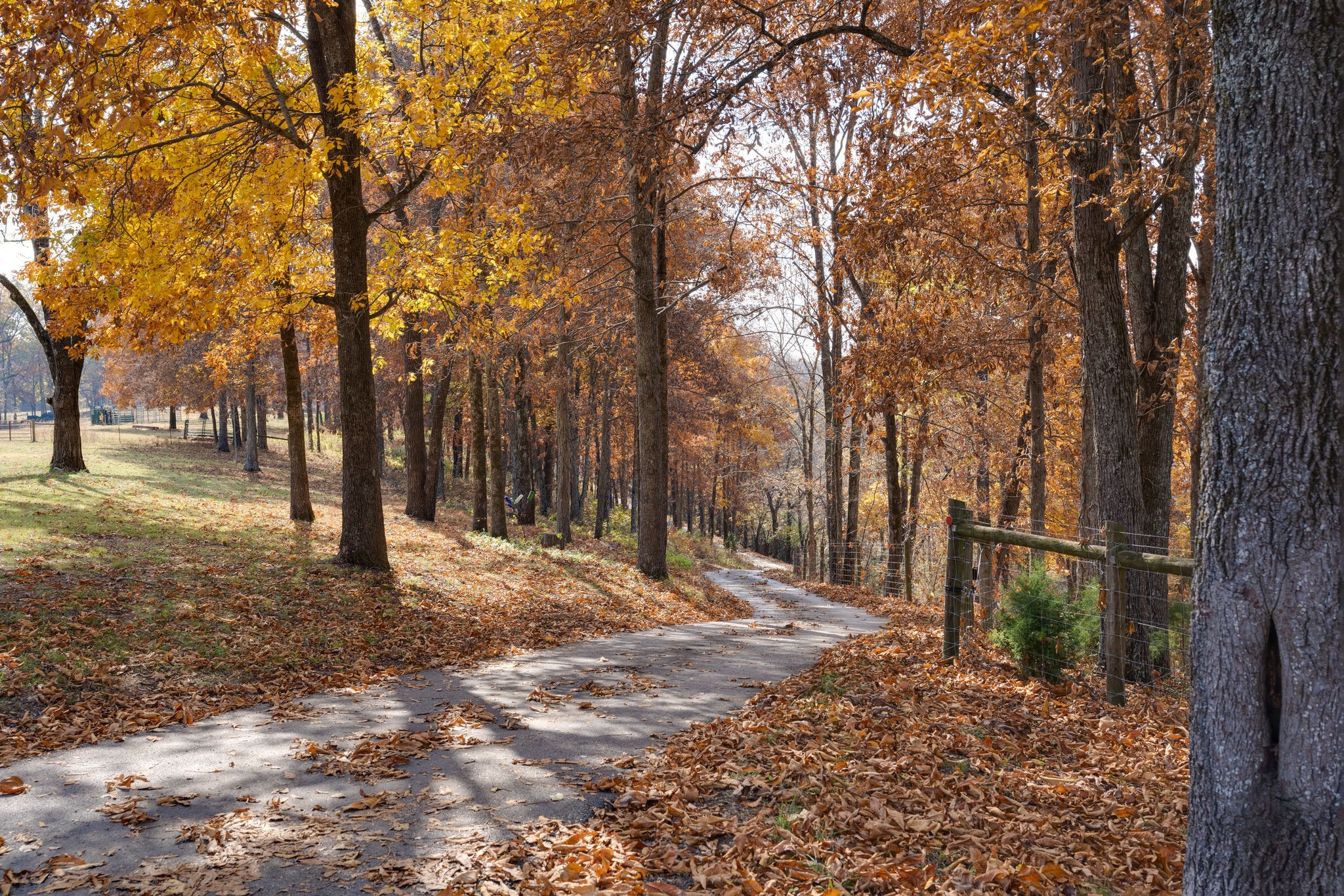 73 Savannah Road Ardmore, TN 38449 - Photo 51 of 51