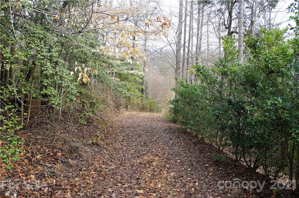 Tbd Tbd Old Liberty Road Randleman, NC 27317 - Photo 1 of 13 Gallery Image 1