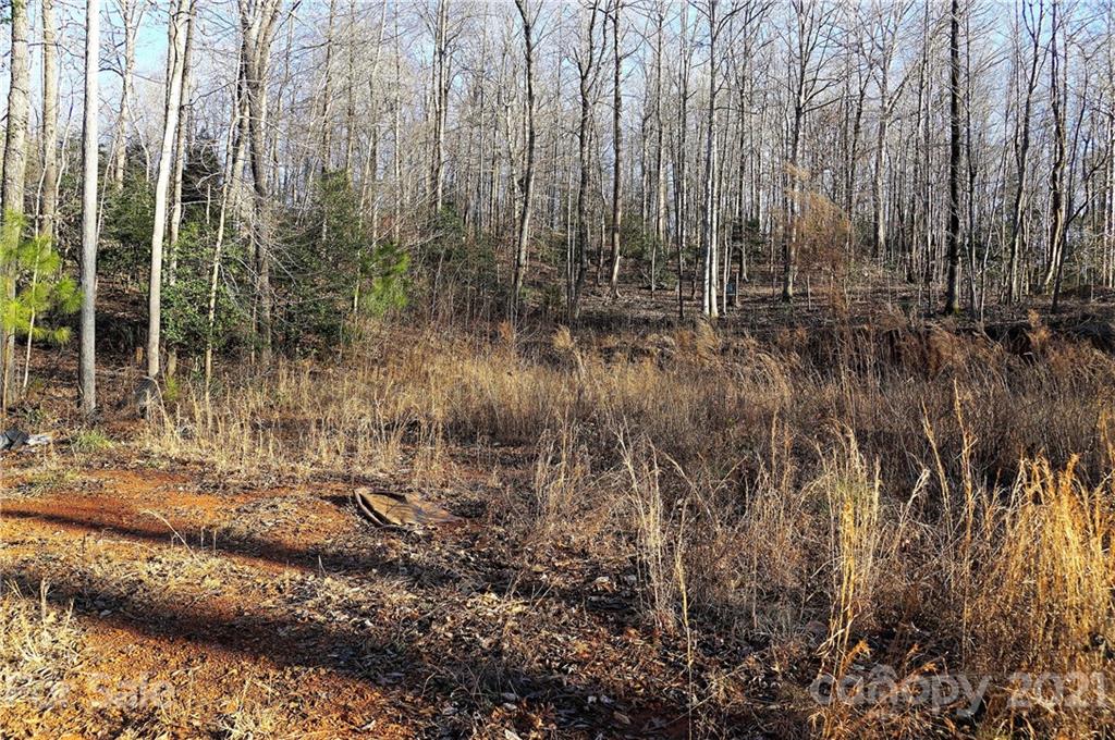 Tbd Tbd Old Liberty Road Randleman, NC 27317 - Photo 11 of 13 Gallery Image 11
