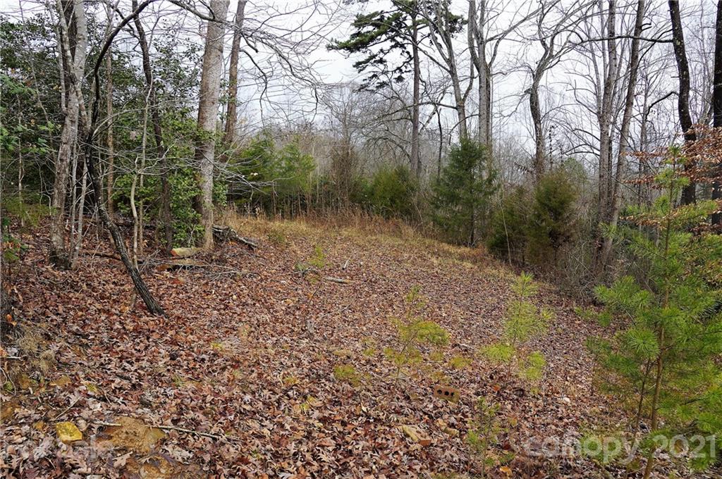 Tbd Tbd Old Liberty Road Randleman, NC 27317 - Photo 3 of 13 Gallery Image 3