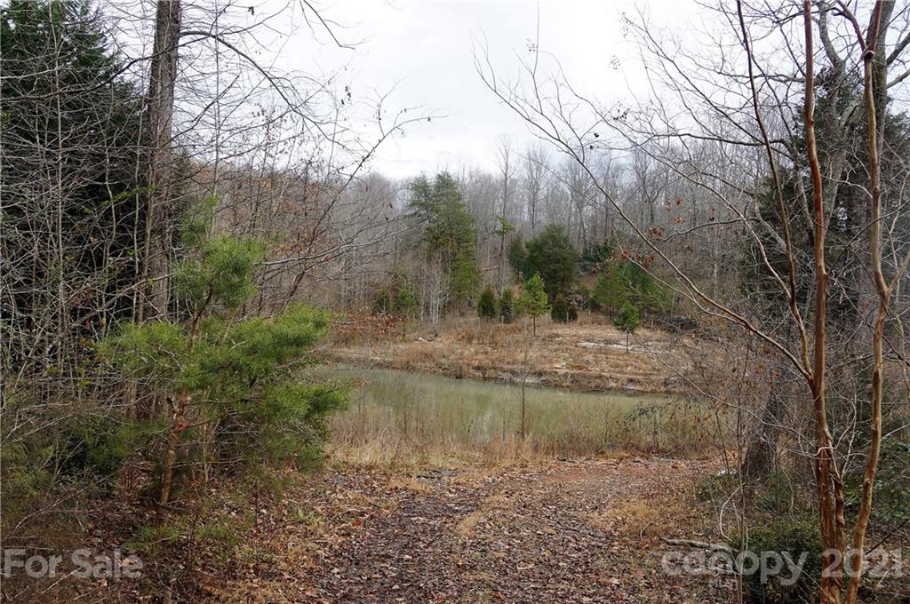Tbd Tbd Old Liberty Road Randleman, NC 27317 - Photo 4 of 13 Gallery Image 4