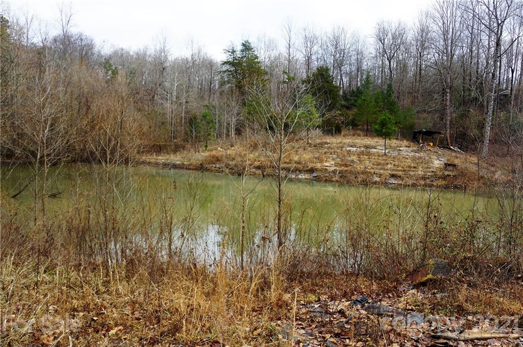Tbd Tbd Old Liberty Road Randleman, NC 27317 - Photo 6 of 13 Gallery Image 6