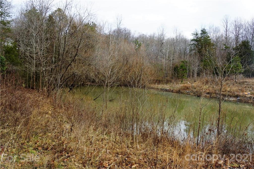 Tbd Tbd Old Liberty Road Randleman, NC 27317 - Photo 7 of 13 Gallery Image 7