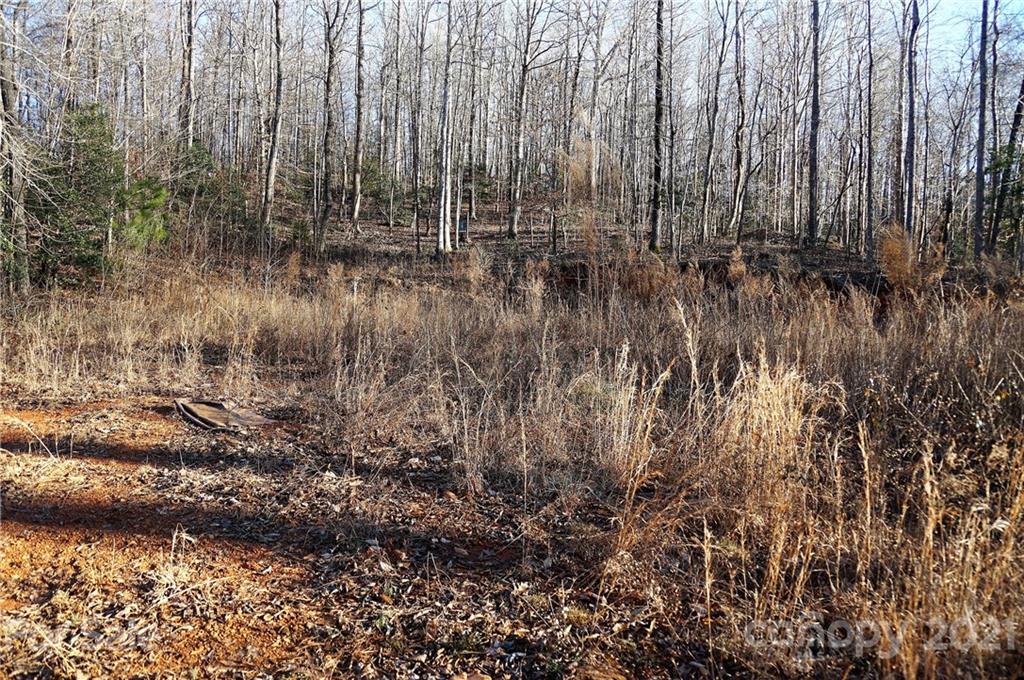 Tbd Tbd Old Liberty Road Randleman, NC 27317 - Photo 10 of 13 Gallery Image 10