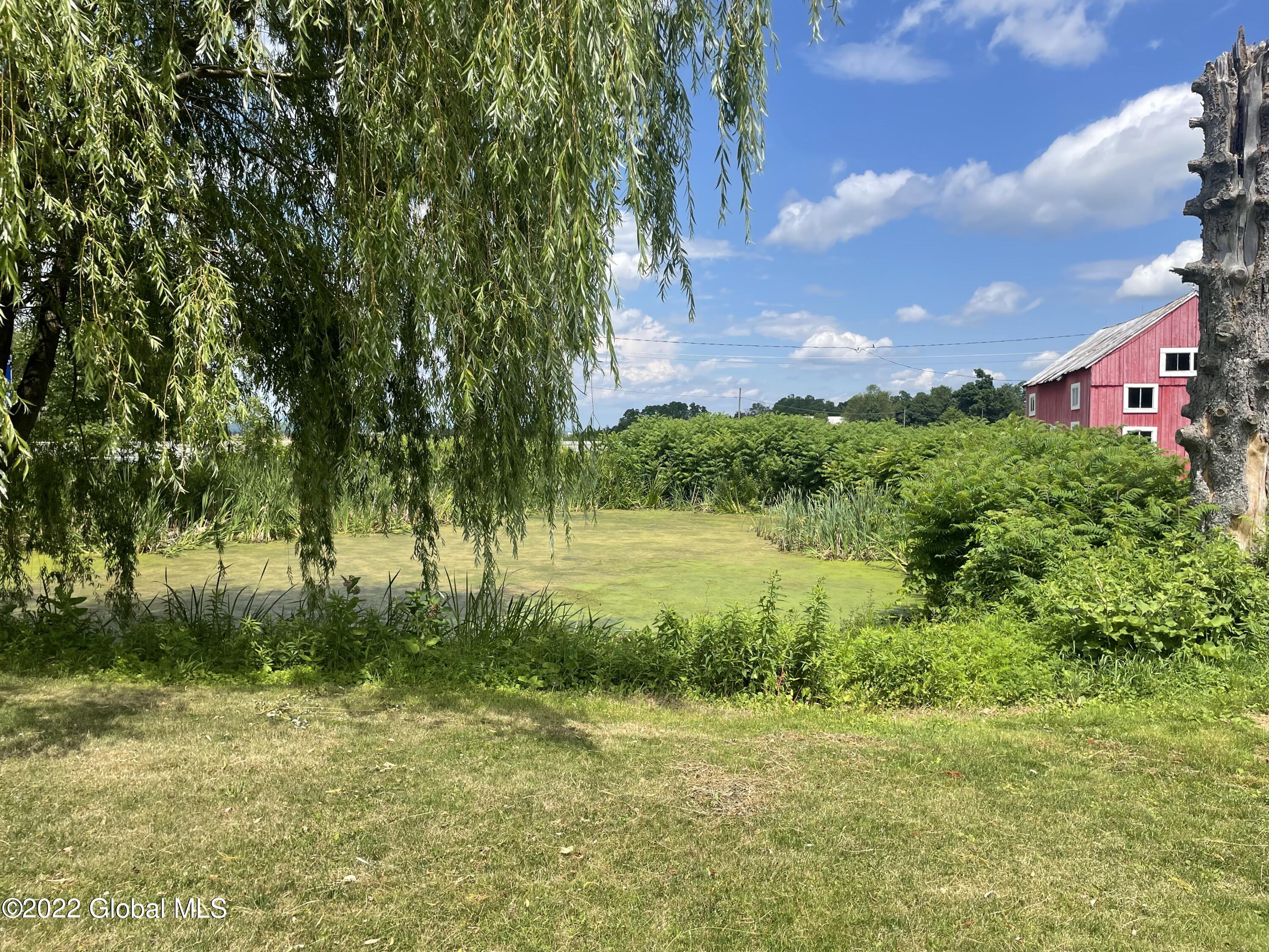 45 Grove Road Easton, NY 12154 - Photo 54 of 65 Pond 1