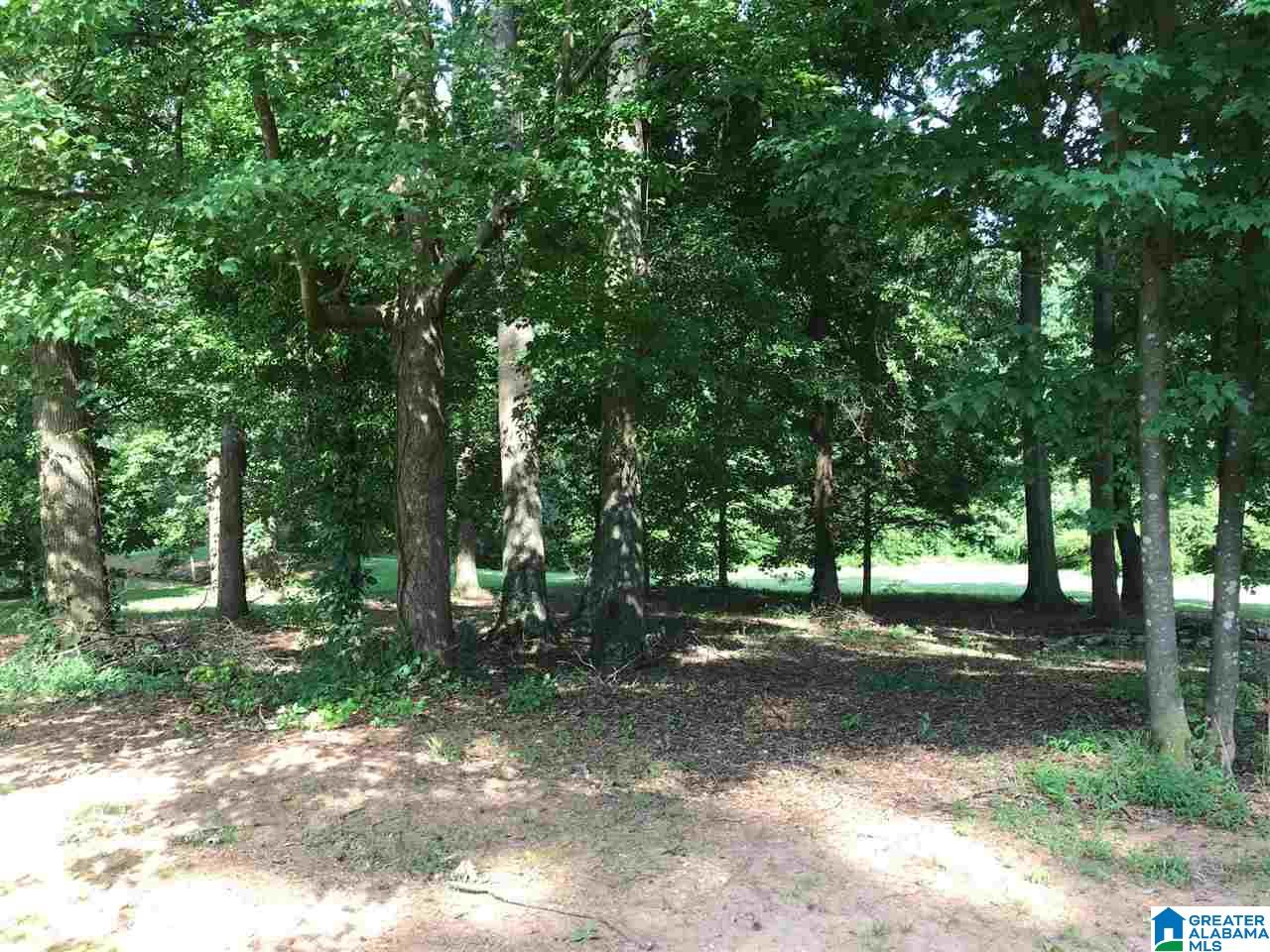 783 County Road 64 Ranburne, AL 36273 - Photo 36 of 44