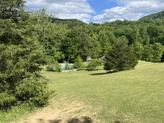 2463 Willow Bend Road Lindside, WV 24951 - Photo 6 of 75 Gallery Image 6