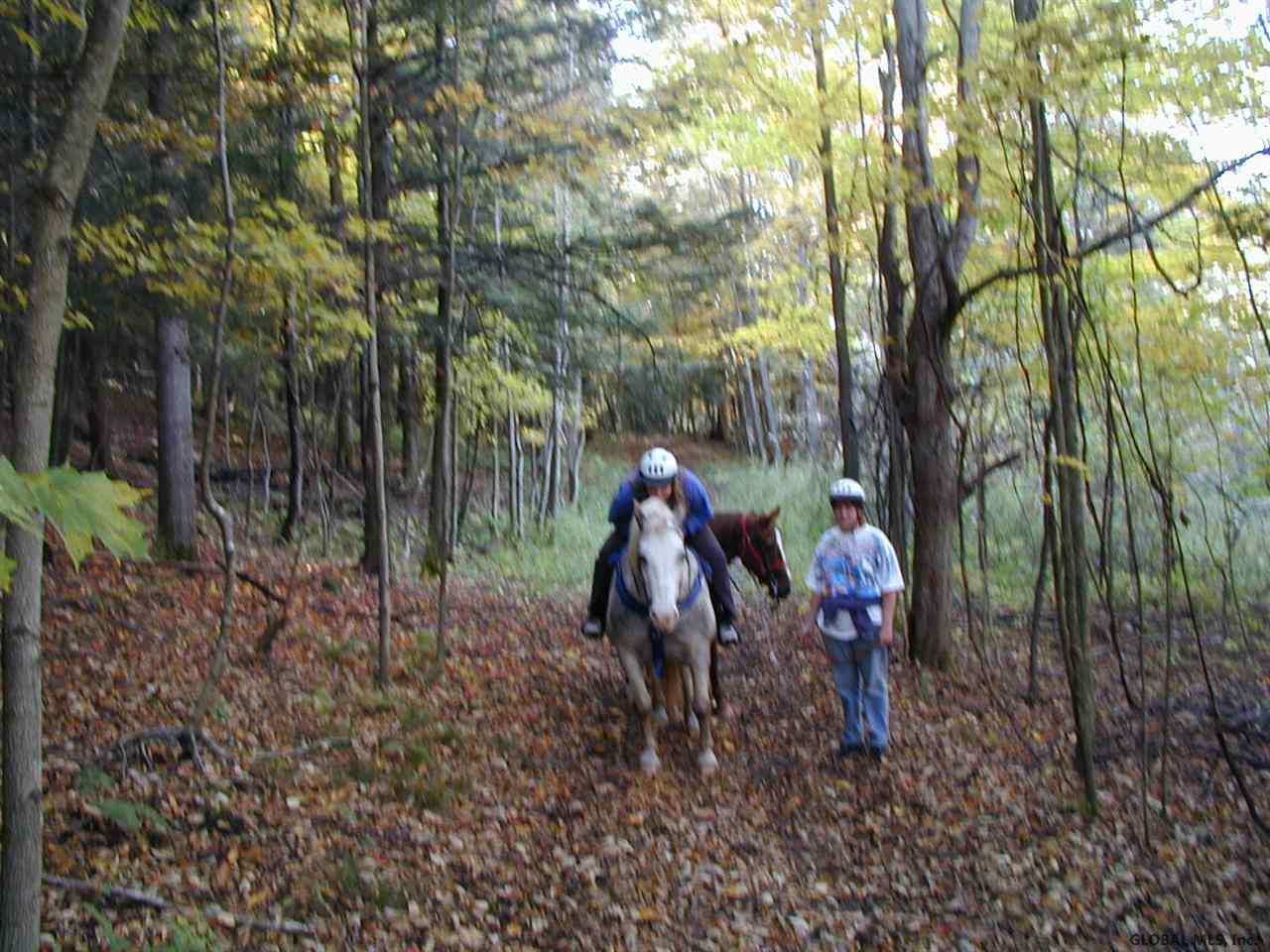 285 Hanson Crossing Road Sharon, NY 13459 - Photo 38 of 43 Photo 38