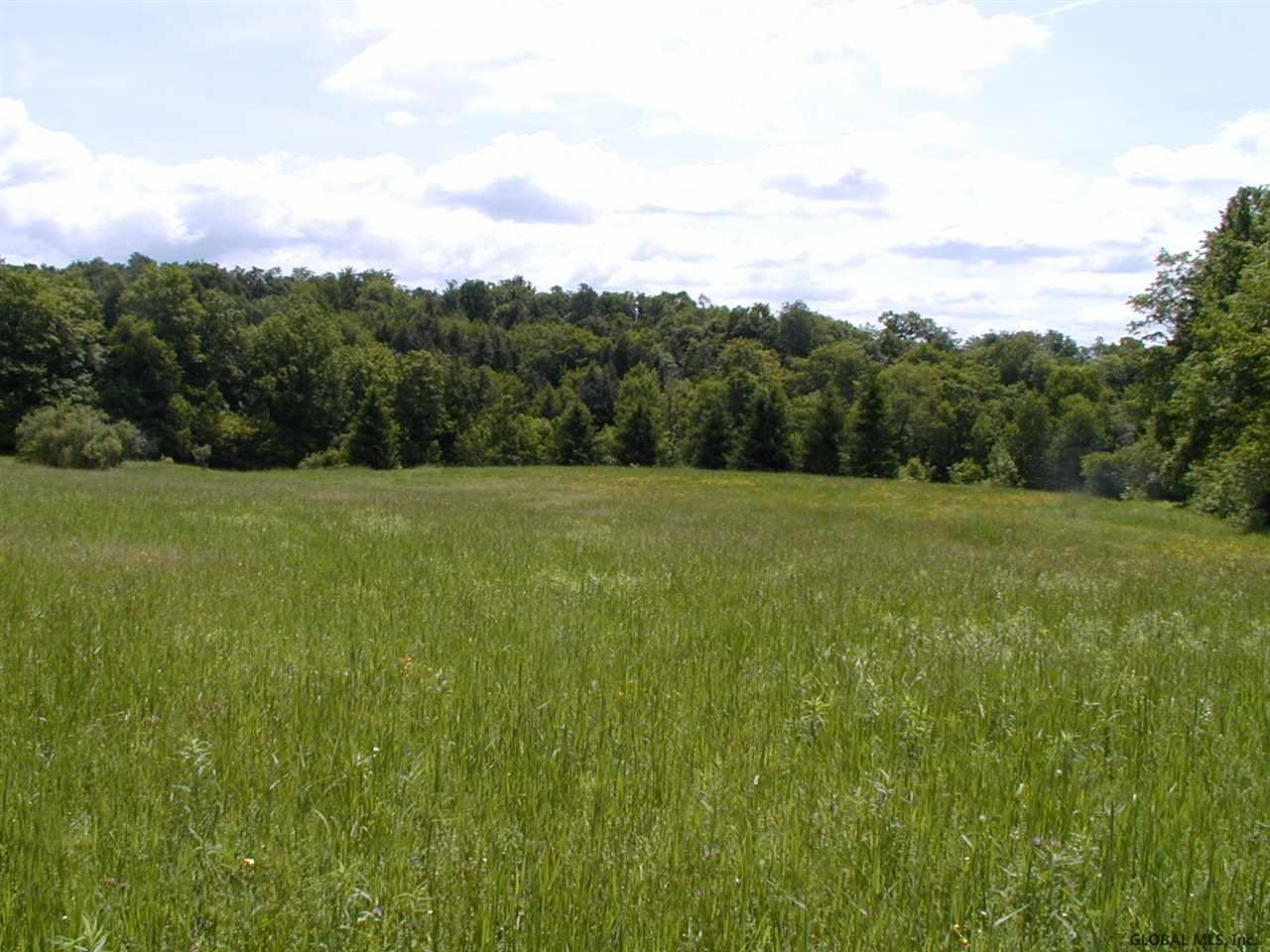285 Hanson Crossing Road Sharon, NY 13459 - Photo 40 of 43 Photo 41