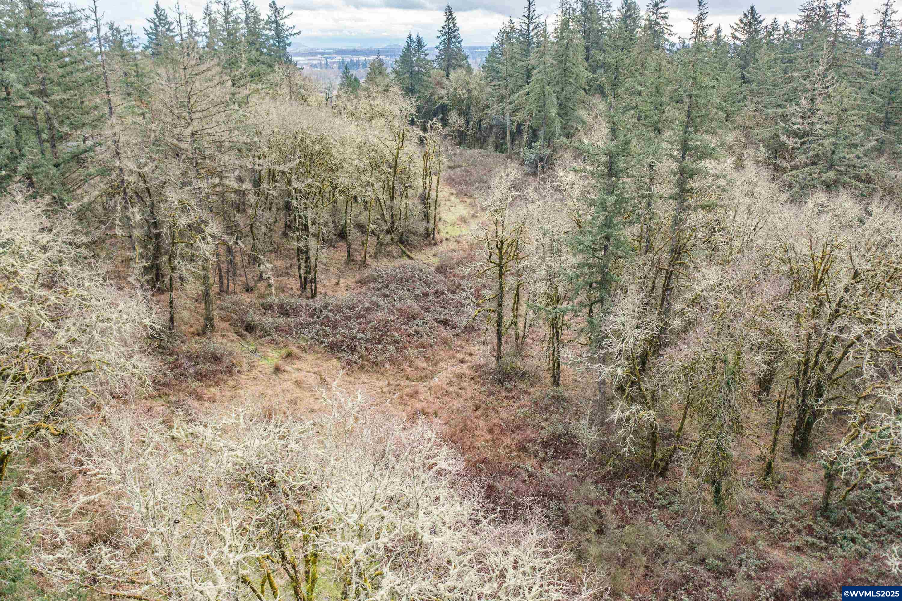 0 Northwest Maier Lane Albany, OR 97321 - Photo 23 of 25
