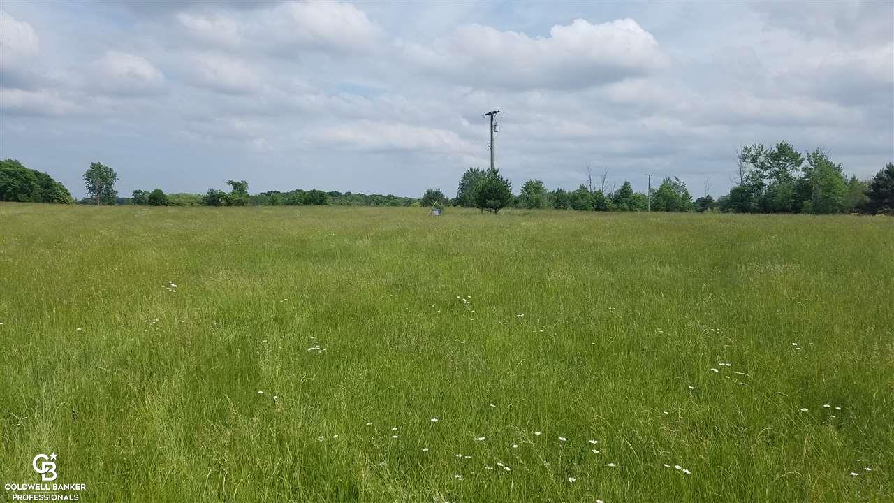Wellman Line Ville Melvin, MI 48454 - Photo 8 of 16