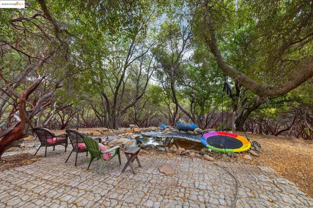 a view of a yard with plants and large trees