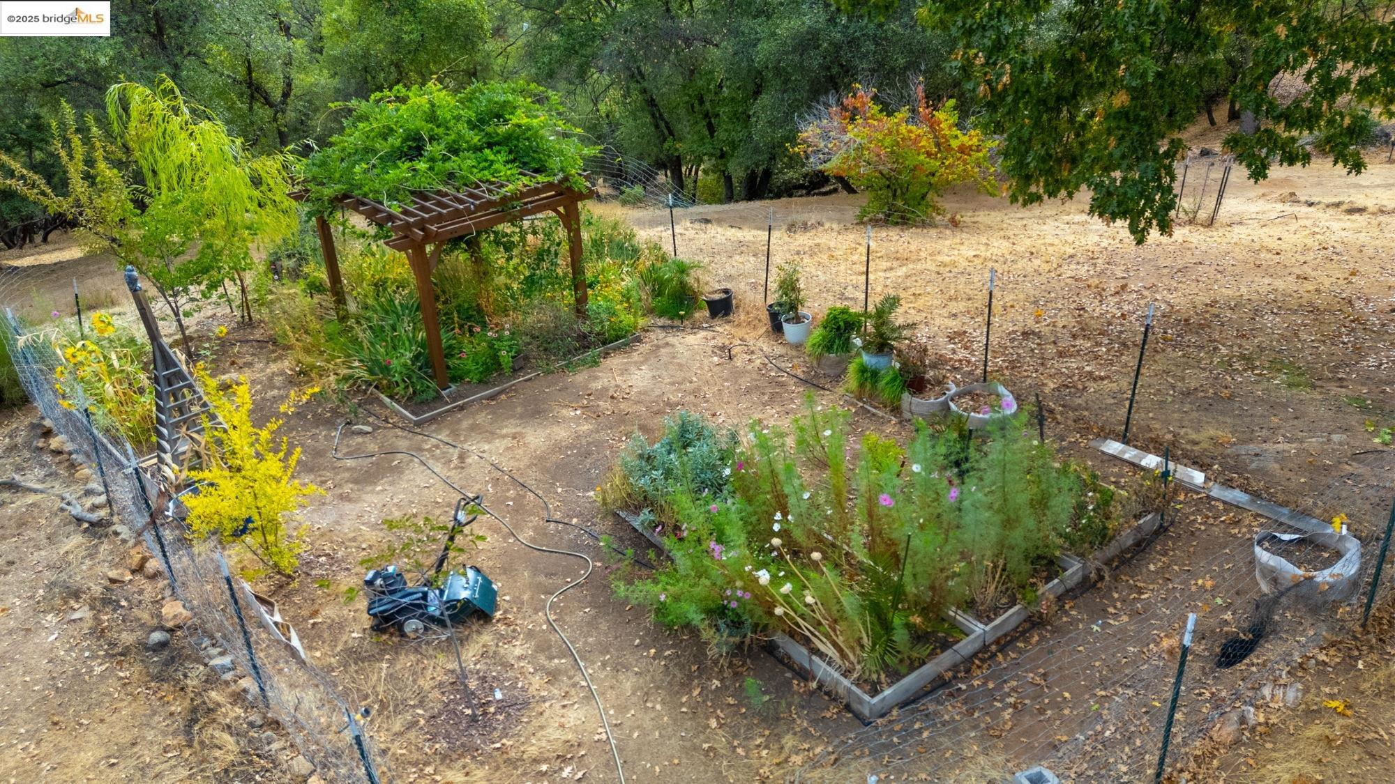 21950 Paseo De Los Portales Road Sonora, CA 95370 - Photo 44 of 47 a view of a yard with plants and large trees