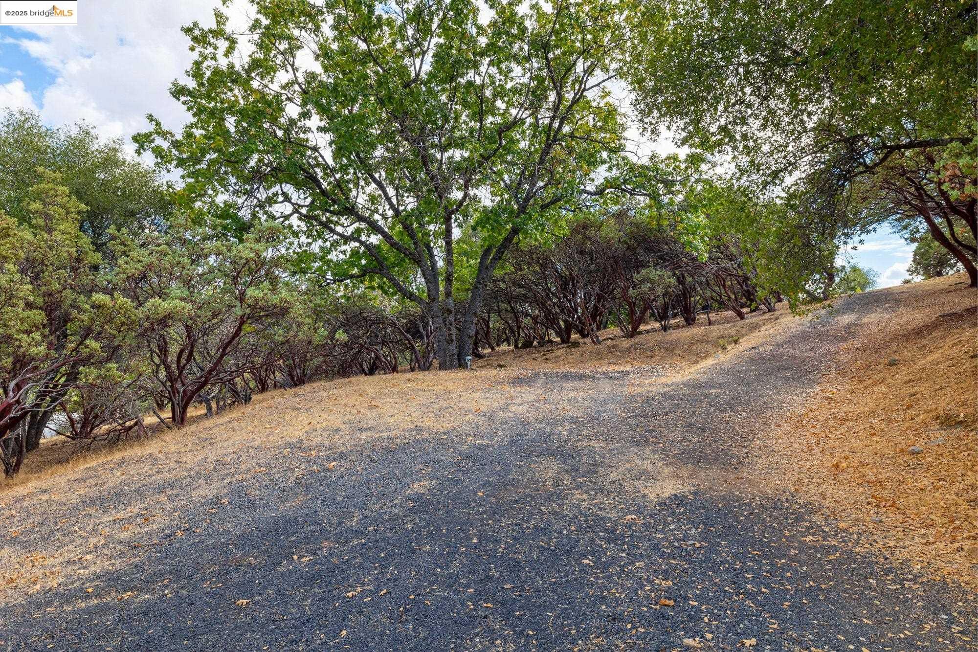 21950 Paseo De Los Portales Road Sonora, CA 95370 - Photo 45 of 47 a view of outdoor space and yard